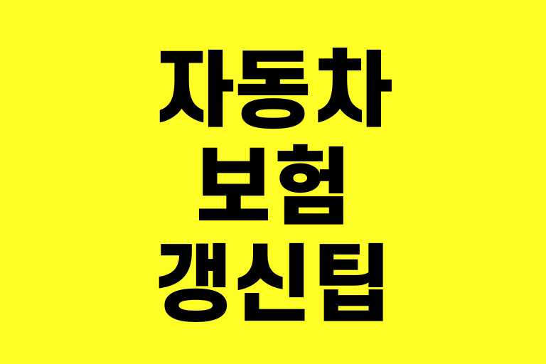 자동차보험 갱신 팁