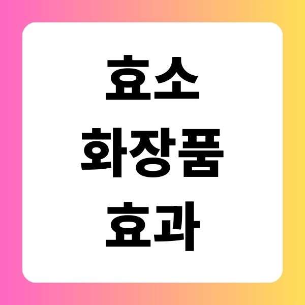 효소 화장 품효과 종 류추천