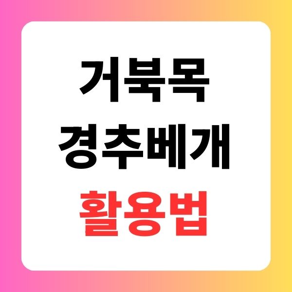 거북목경추베개