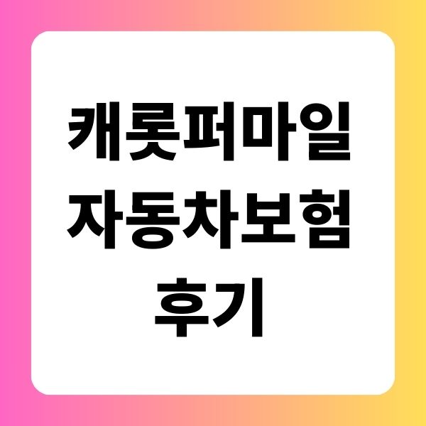 캐롯퍼마일자동차보험 후기