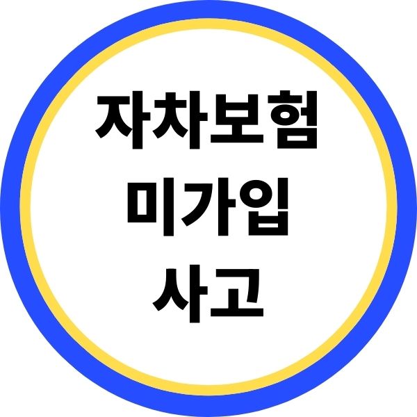 자차 보험 미가입 사고
