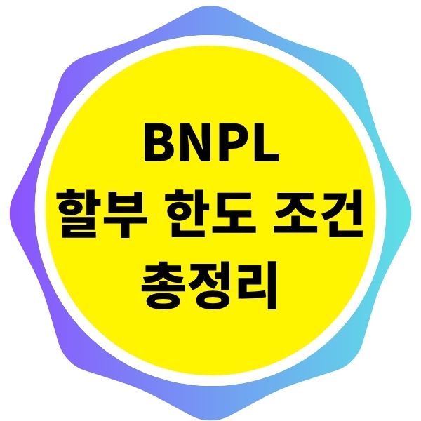 BNPL 서비스 한도 할부 조건 총정리